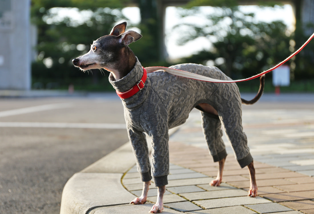 Quilted Cable Comfort (gray) - Italian Greyhound Clothes