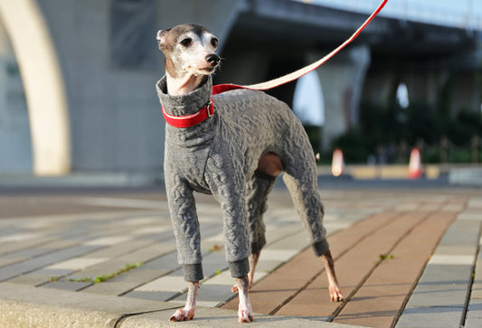 Quilted Cable Comfort (gray) - Italian Greyhound Clothes