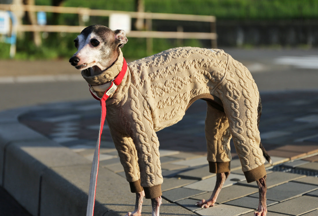 Quilted Cable Comfort (beige) - Italian Greyhound Clothes