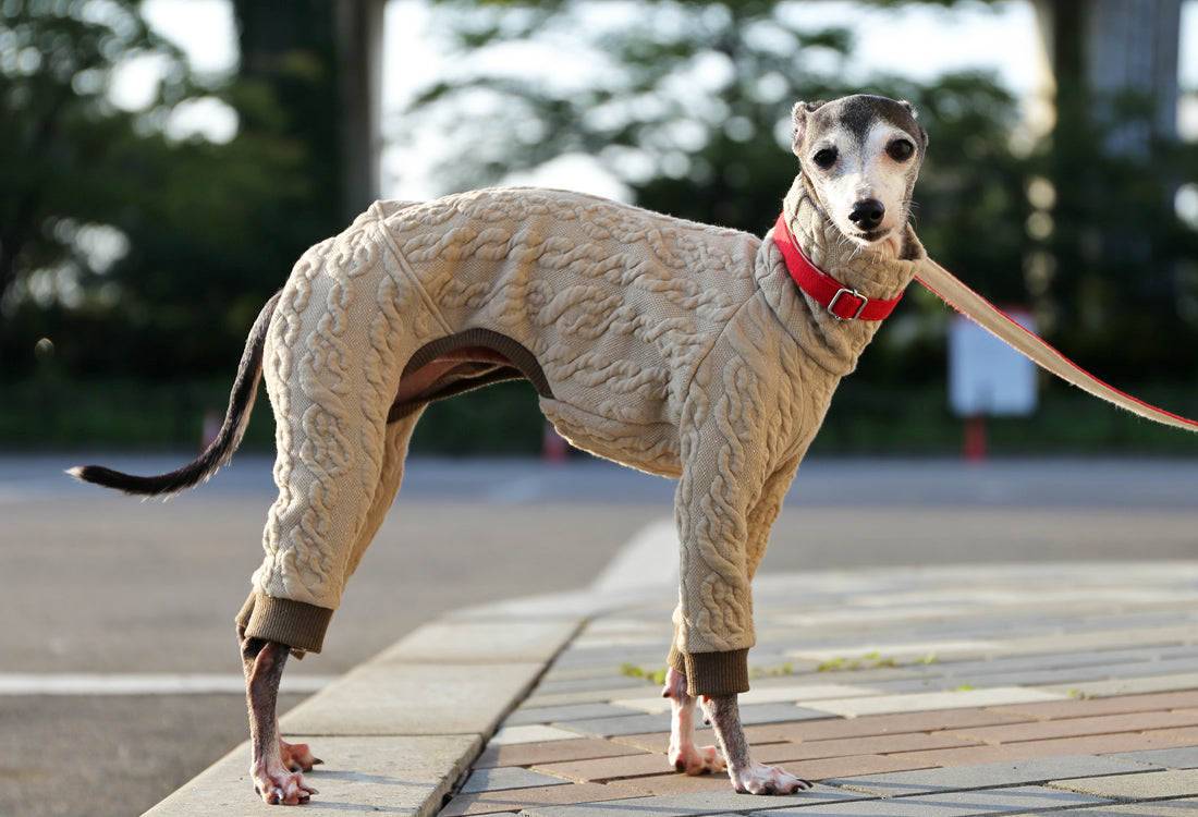 Quilted Cable Comfort (beige) - Italian Greyhound Clothes