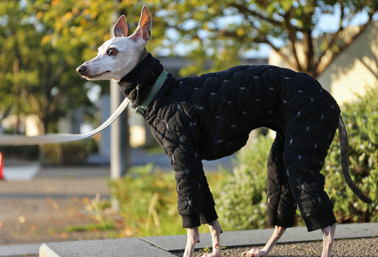 Mosaic quilt knit (black) - Italian Greyhound Clothes