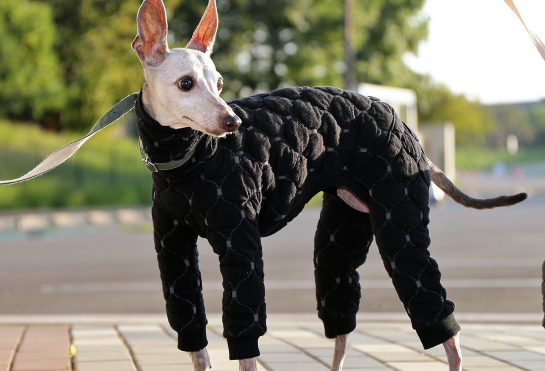 Mosaic quilt knit (black) - Italian Greyhound Clothes