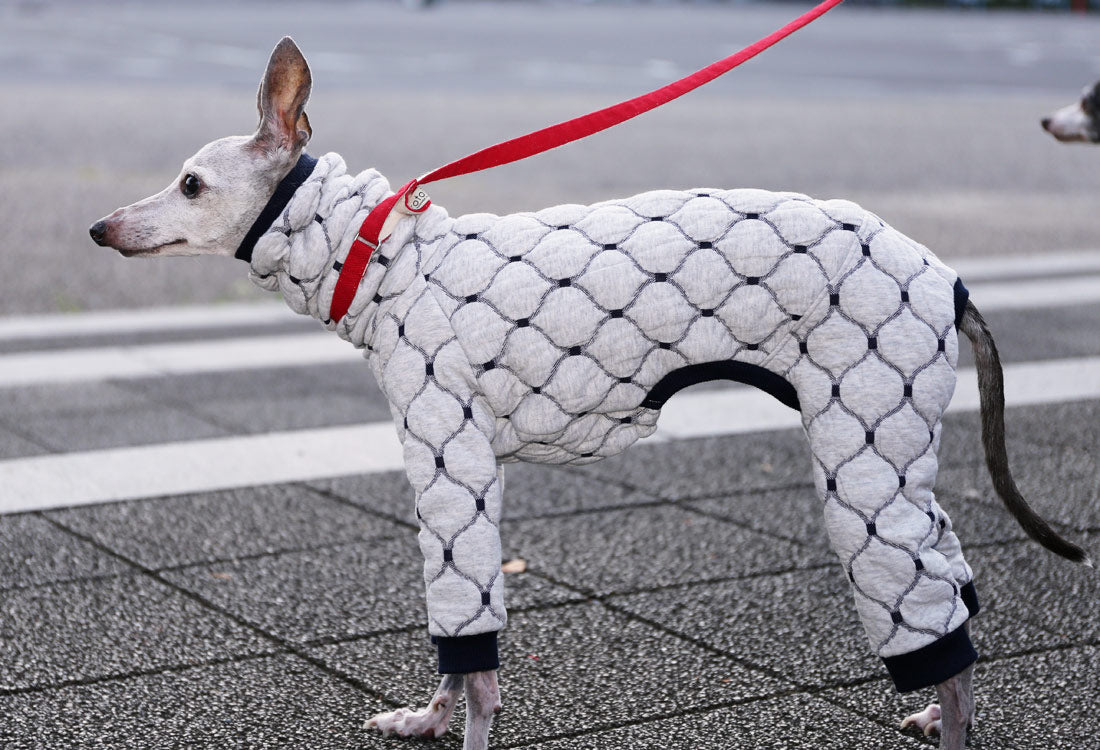 Mosaic quilt knit (snow) - Italian Greyhound Clothes