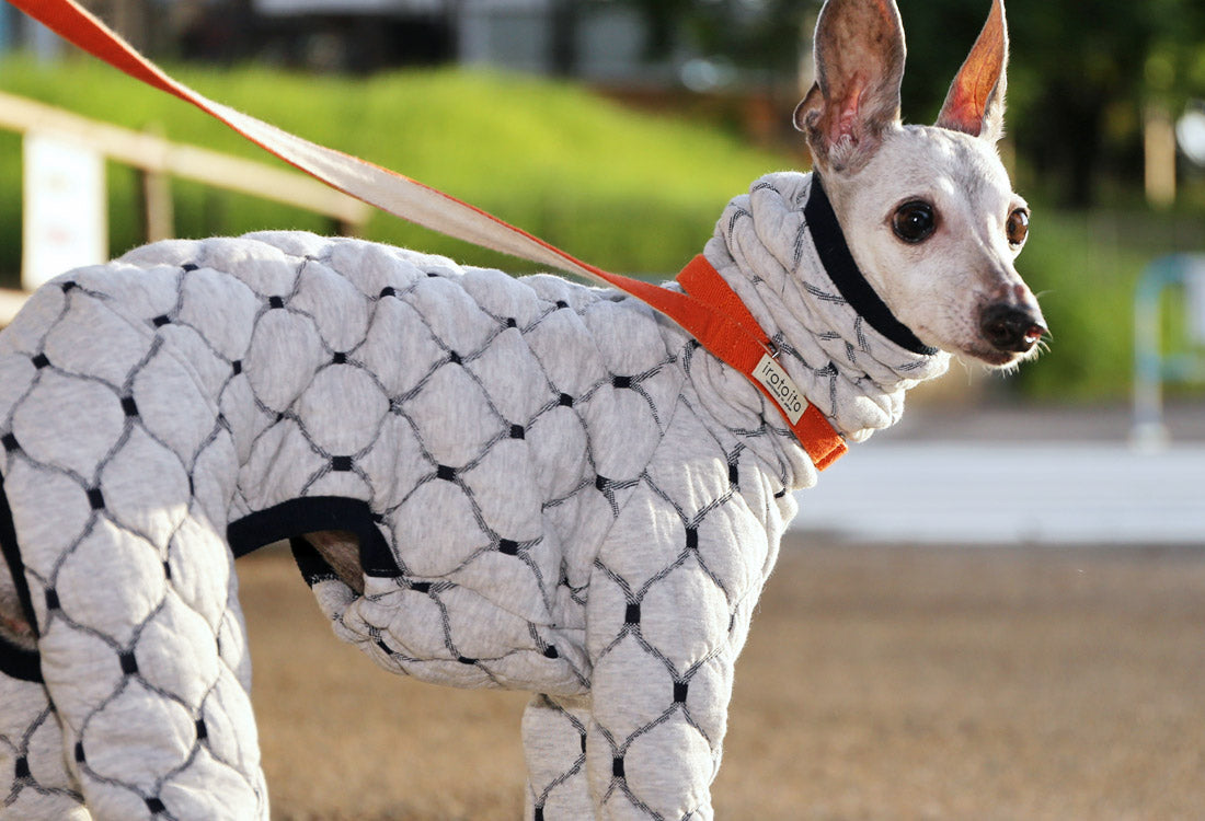 Mosaic quilt knit (snow) - Italian Greyhound Clothes