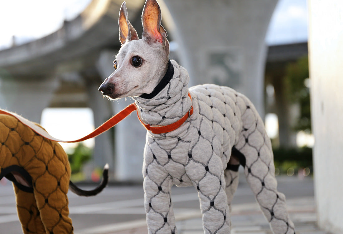 Mosaic quilt knit (snow) - Italian Greyhound Clothes