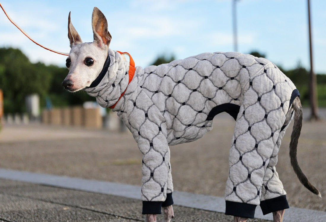 Mosaic quilt knit (snow) - Italian Greyhound Clothes