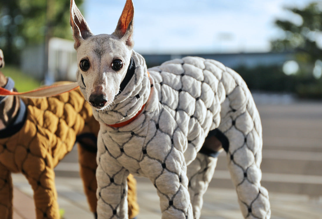 Mosaic quilt knit (snow) - Italian Greyhound Clothes