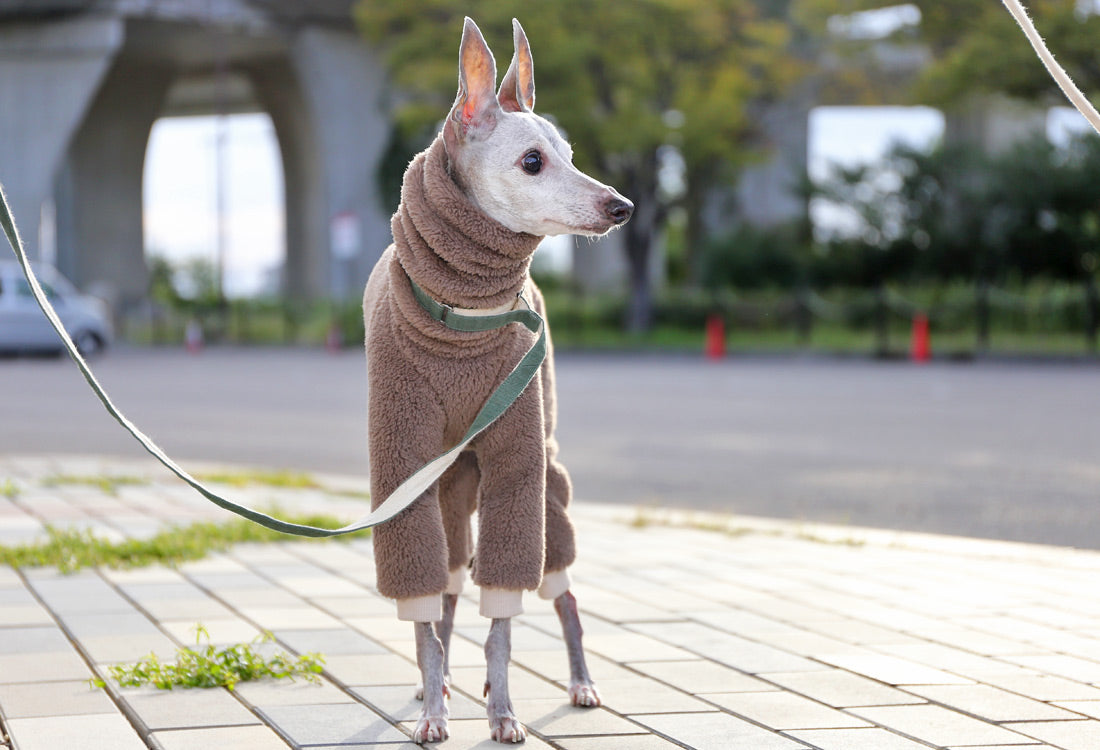 FUWA-Boa (gray beige) - Italian Greyhound Clothes