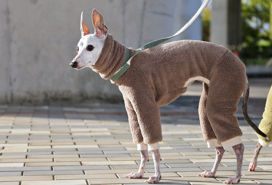 FUWA-Boa (gray beige) - Italian Greyhound Clothes