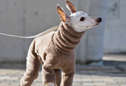 FUWA-Boa (gray beige) - Italian Greyhound Clothes