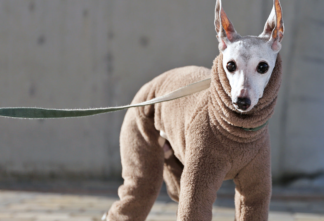 FUWA-Boa (gray beige) - Italian Greyhound Clothes