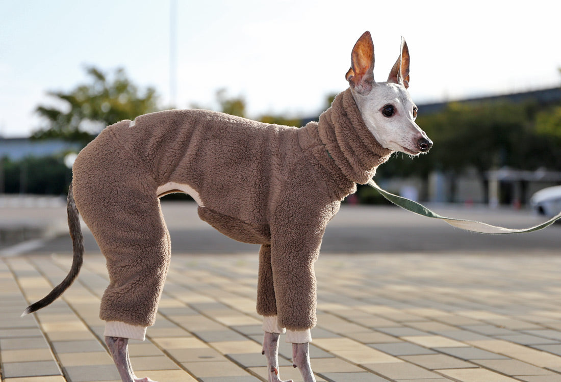 FUWA-Boa (gray beige) - Italian Greyhound Clothes