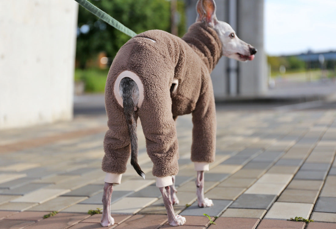 FUWA-Boa (gray beige) - Italian Greyhound Clothes