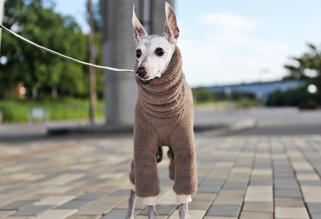 FUWA-Boa (gray beige) - Italian Greyhound Clothes