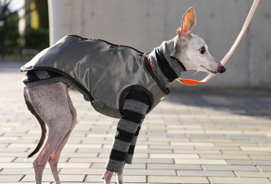 Collarless Vest - Italian Greyhound Clothes