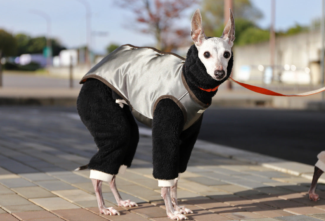 Collarless Vest - Italian Greyhound Clothes