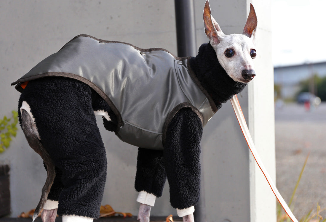 Collarless Vest - Italian Greyhound Clothes