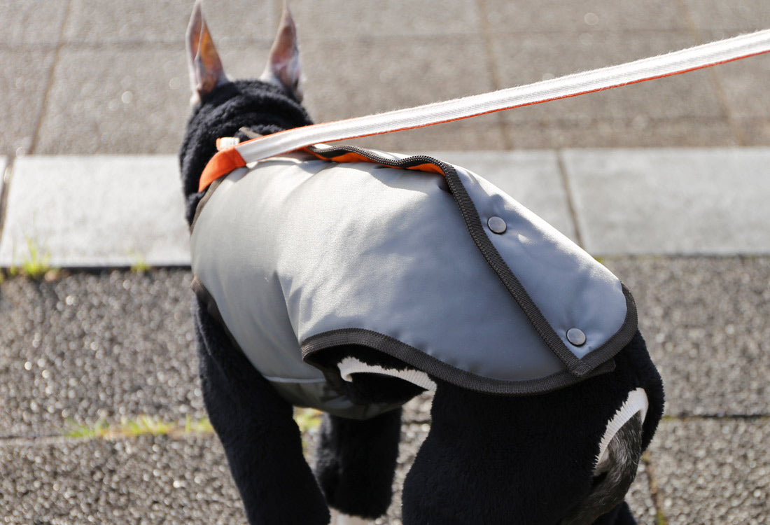 Collarless Vest - Italian Greyhound Clothes