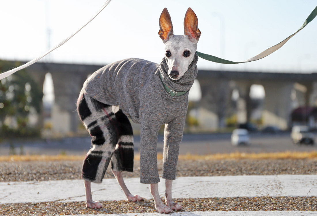 Wool-blend knit + Alpaca-blend shaggy knit (gray) - Italian Greyhound Clothes