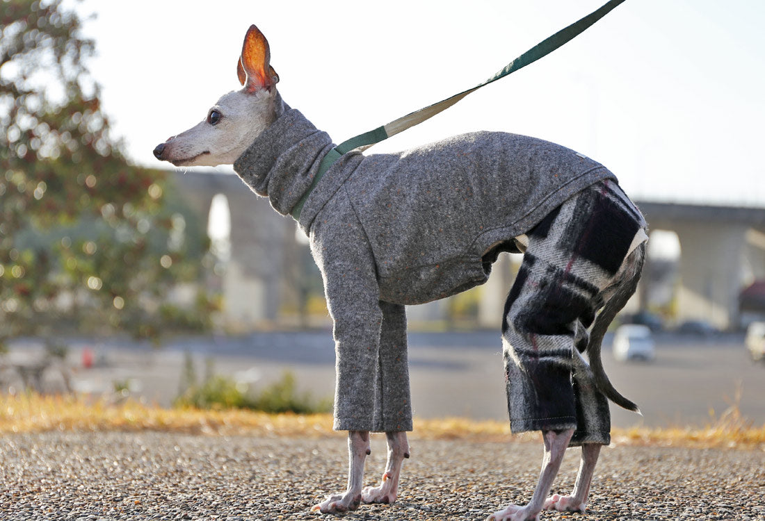 Wool-blend knit + Alpaca-blend shaggy knit (gray) - Italian Greyhound Clothes