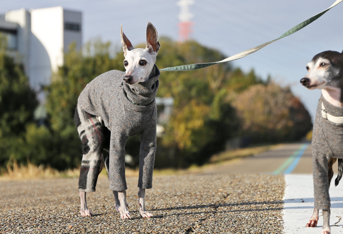 Wool-blend knit + Alpaca-blend shaggy knit (gray) - Italian Greyhound Clothes