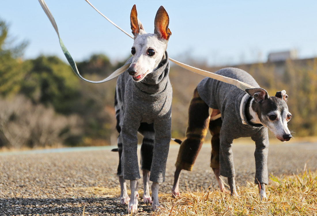 Wool-blend knit + Alpaca-blend shaggy knit (gray) - Italian Greyhound Clothes