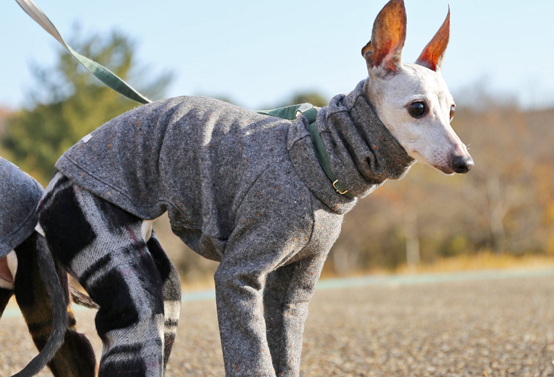 Wool-blend knit + Alpaca-blend shaggy knit (gray) - Italian Greyhound Clothes