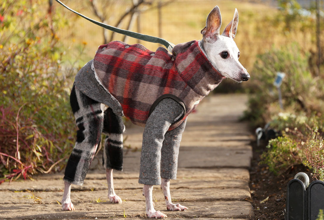 [Short Length] Shaggy Wool Vest- Italian Greyhound Clothes