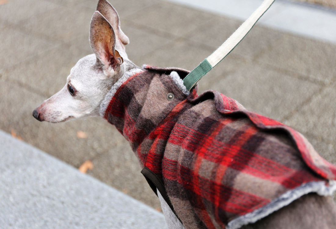 [Short Length] Shaggy Wool Vest- Italian Greyhound Clothes