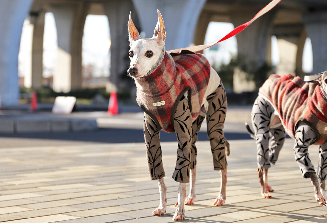 [Short Length] Shaggy Wool Vest- Italian Greyhound Clothes