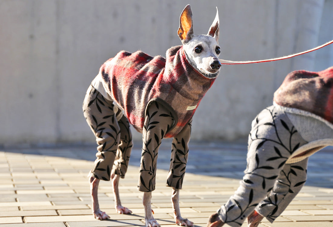 [Short Length] Shaggy Wool Vest- Italian Greyhound Clothes