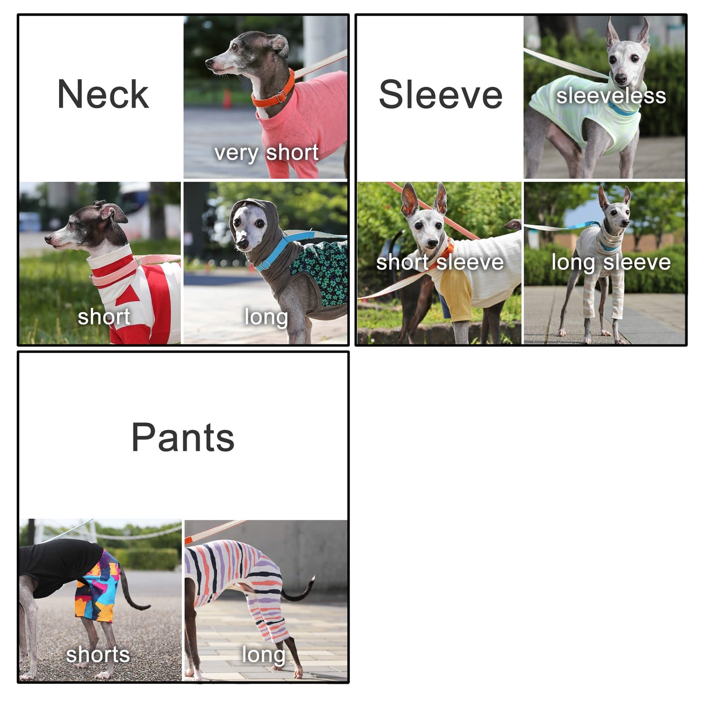 POCOPOCO - Italian Greyhound Clothes