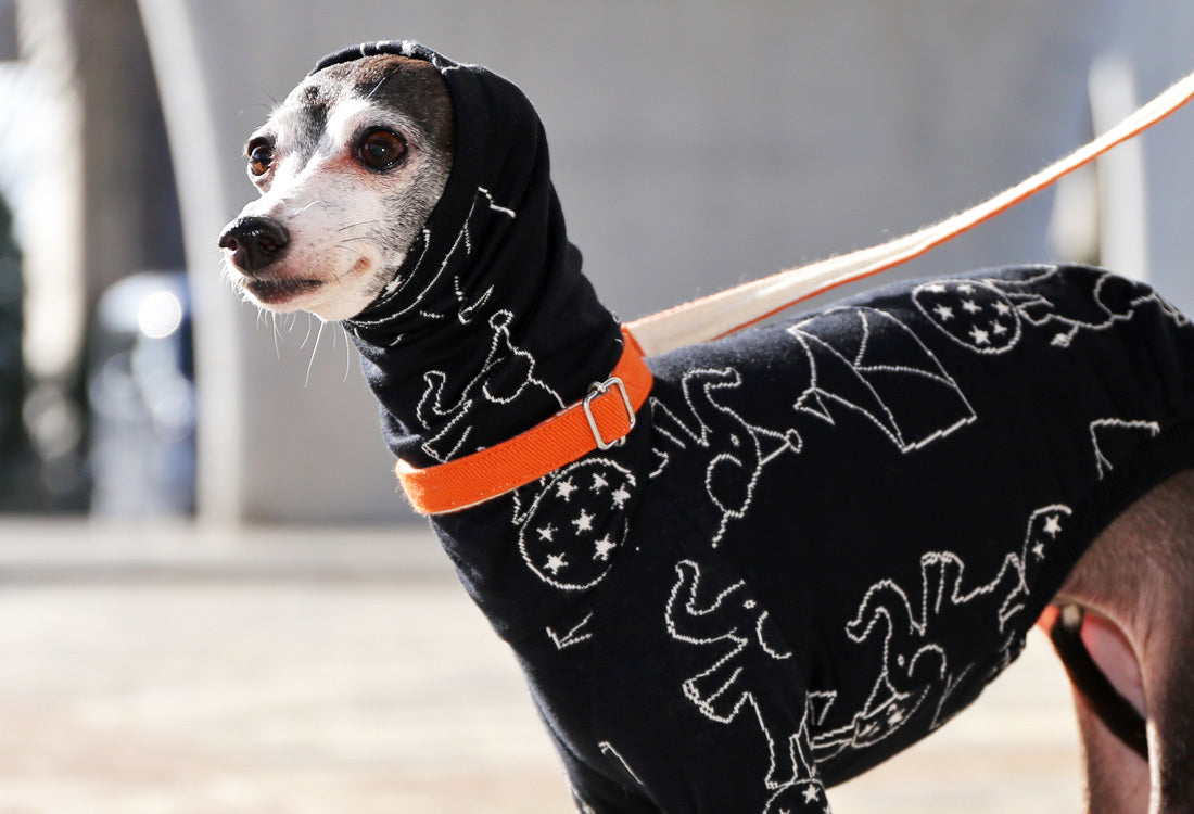 Elephant Balancing on Ball (black) - Italian Greyhound Clothes