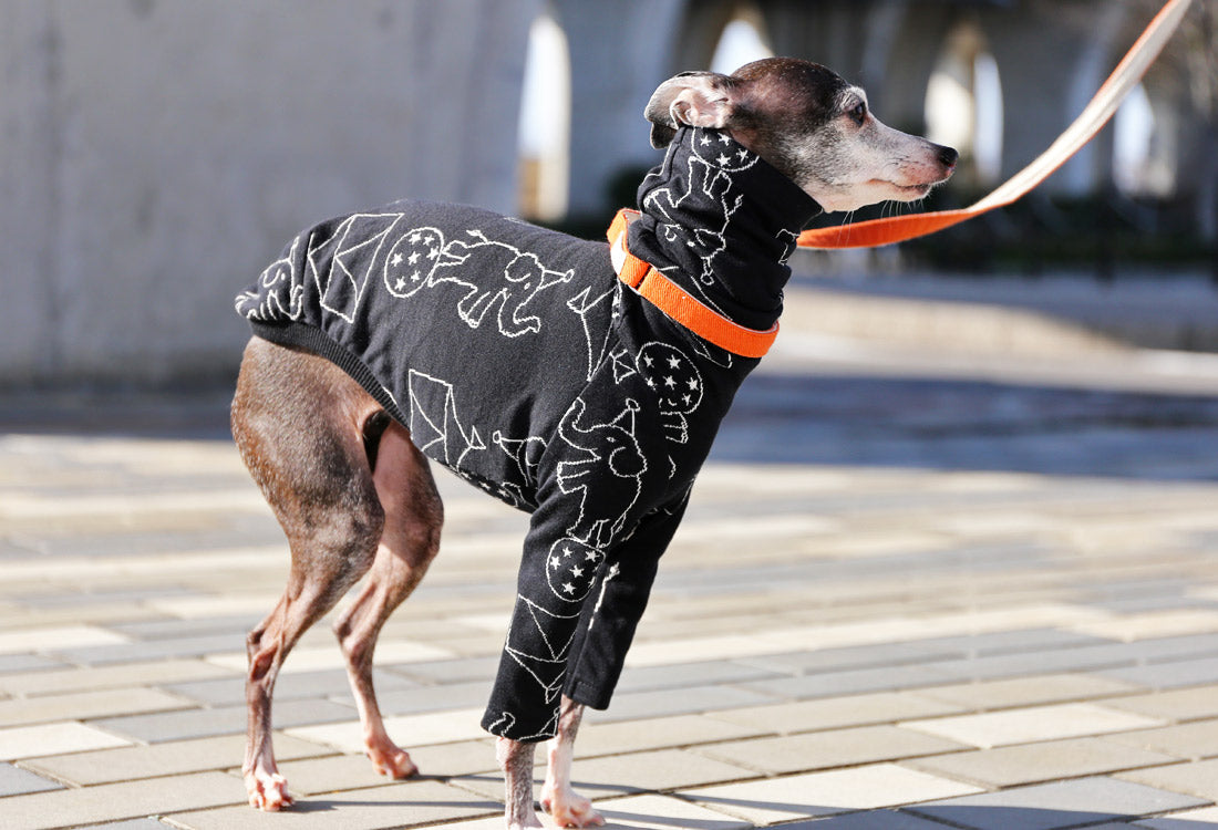 Elephant Balancing on Ball (black) - Italian Greyhound Clothes