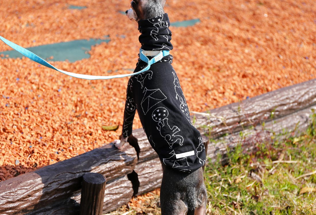 Elephant Balancing on Ball (black) - Italian Greyhound Clothes