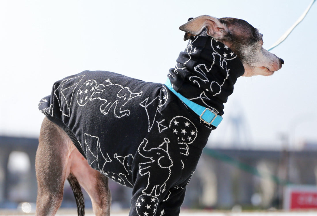 Elephant Balancing on Ball (black) - Italian Greyhound Clothes