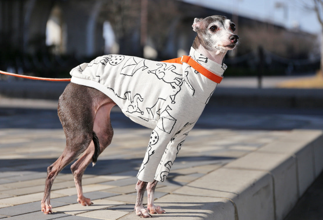 Elephant Balancing on Ball (white) - Italian Greyhound Clothes