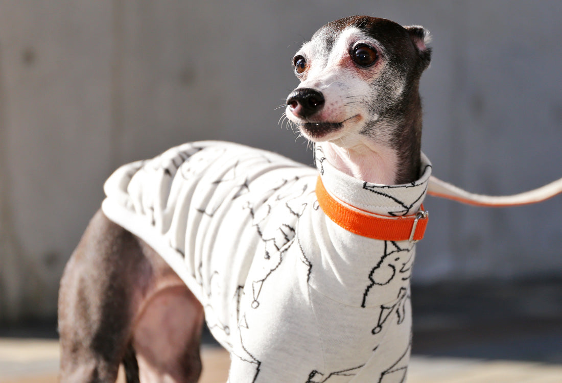 Elephant Balancing on Ball (white) - Italian Greyhound Clothes