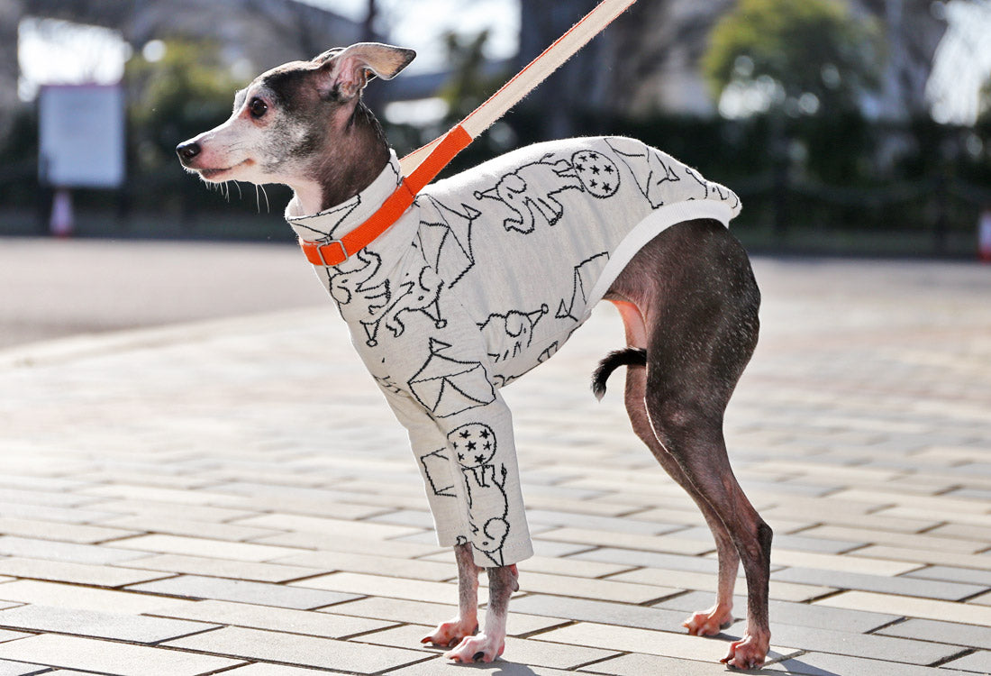 Elephant Balancing on Ball (white) - Italian Greyhound Clothes