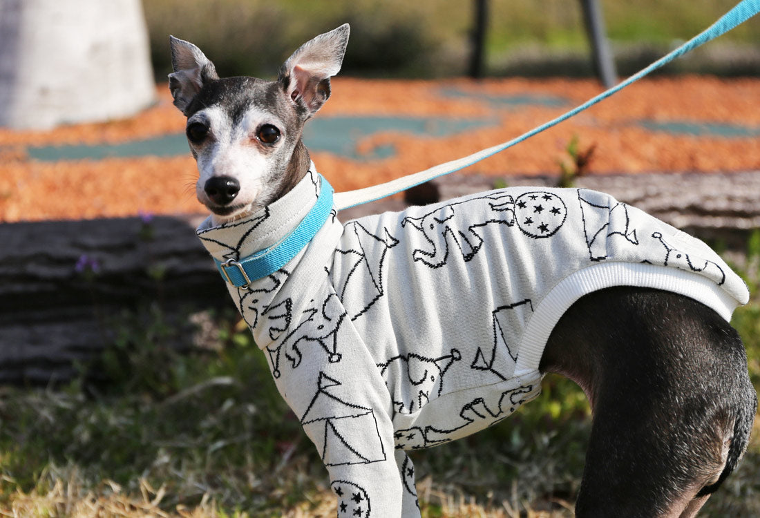 Elephant Balancing on Ball (white) - Italian Greyhound Clothes