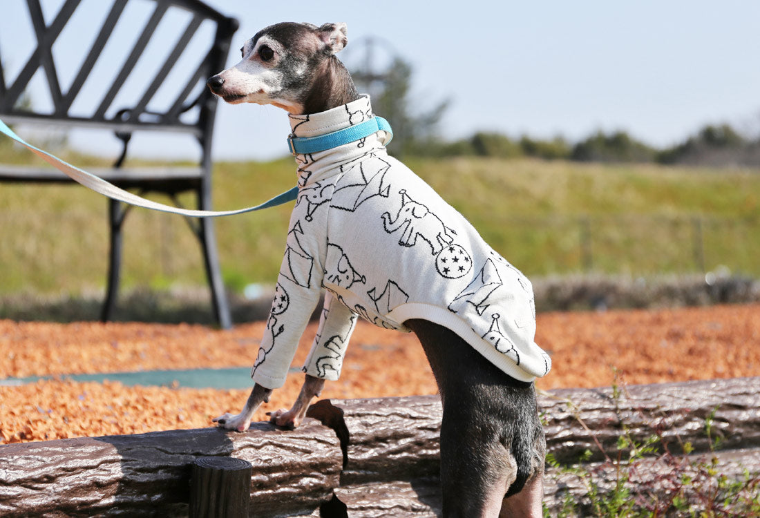 Elephant Balancing on Ball (white) - Italian Greyhound Clothes