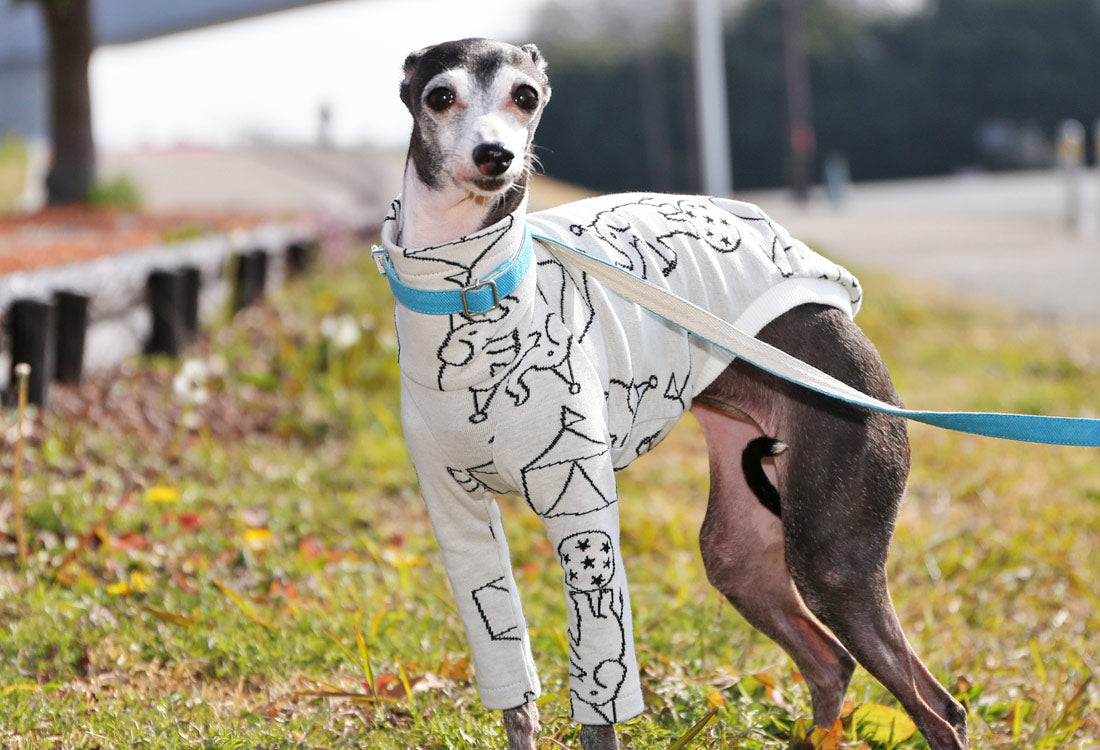 Elephant Balancing on Ball (white) - Italian Greyhound Clothes