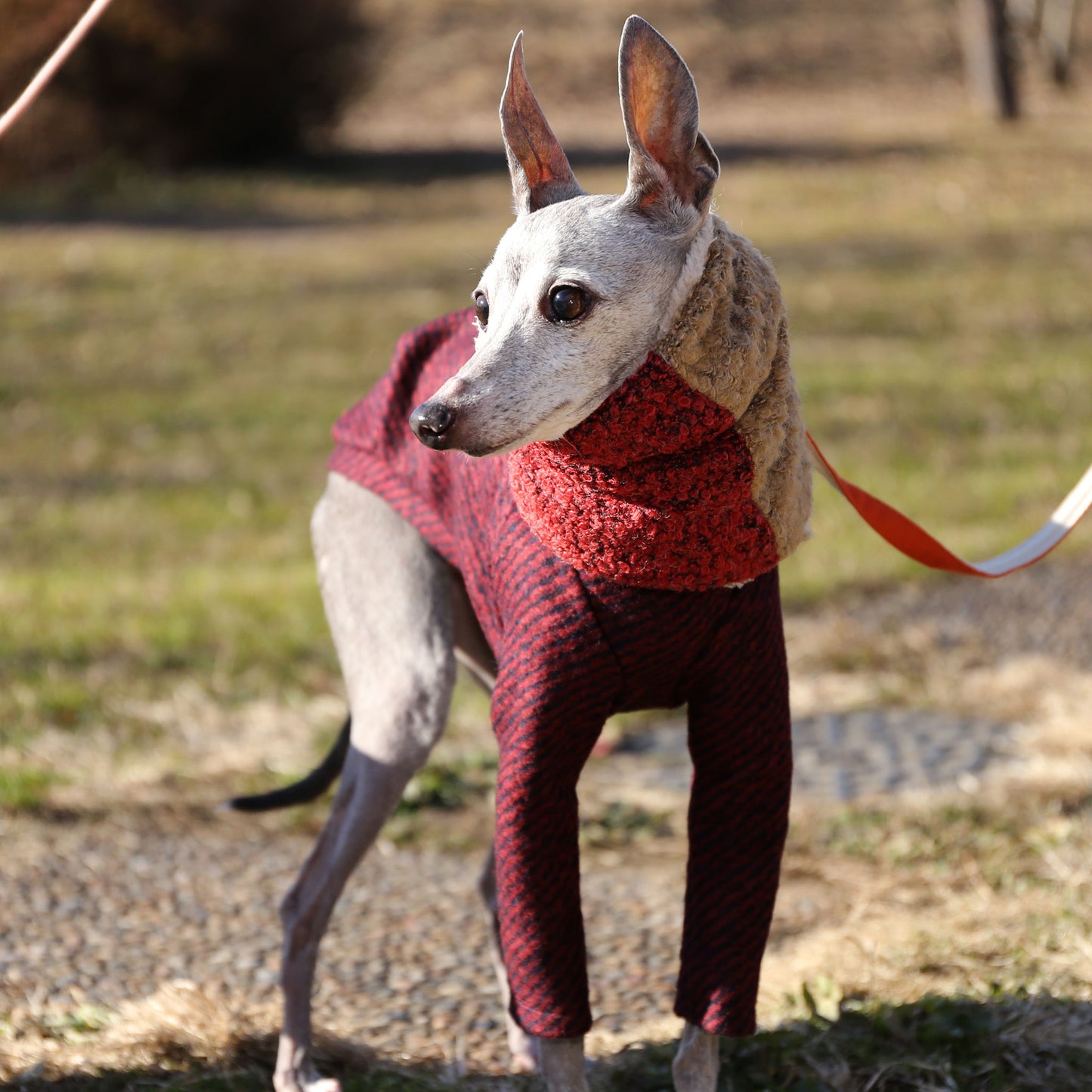 Bicolor Neck Warmer (carmine+ecru)