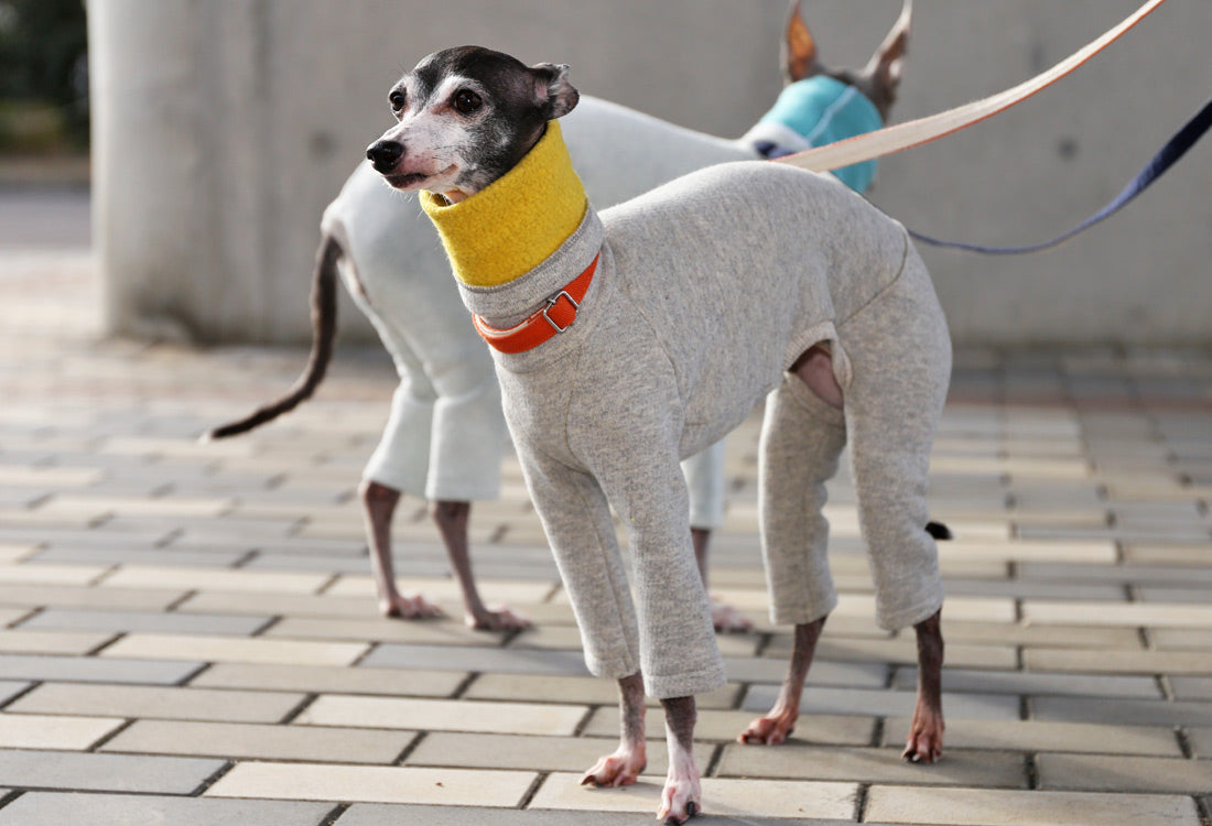 Fluffy soft brushed knit (yellow) - Italian Greyhound Clothes