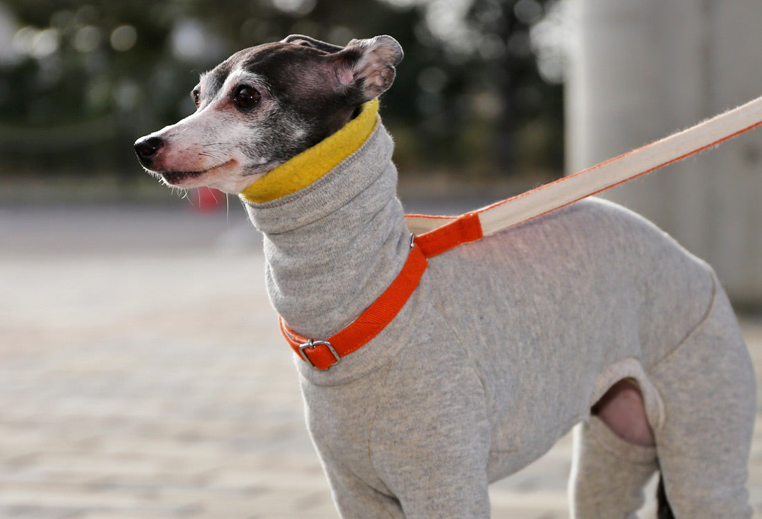 Fluffy soft brushed knit (yellow) - Italian Greyhound Clothes