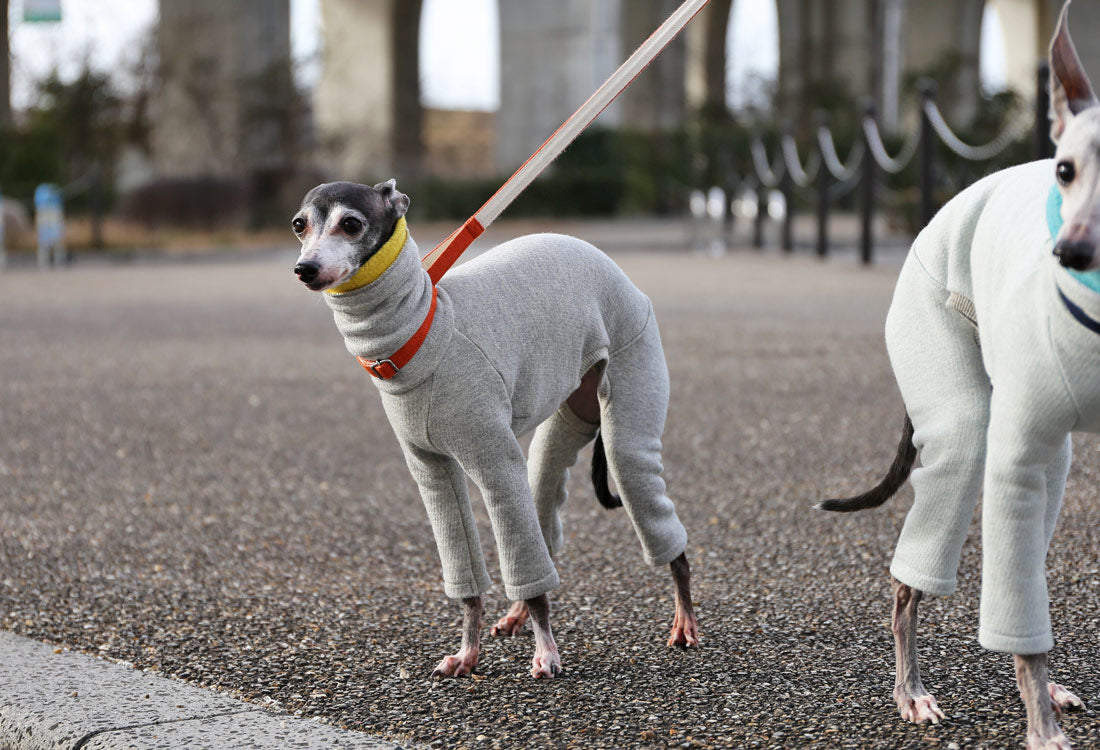 Fluffy soft brushed knit (yellow) - Italian Greyhound Clothes