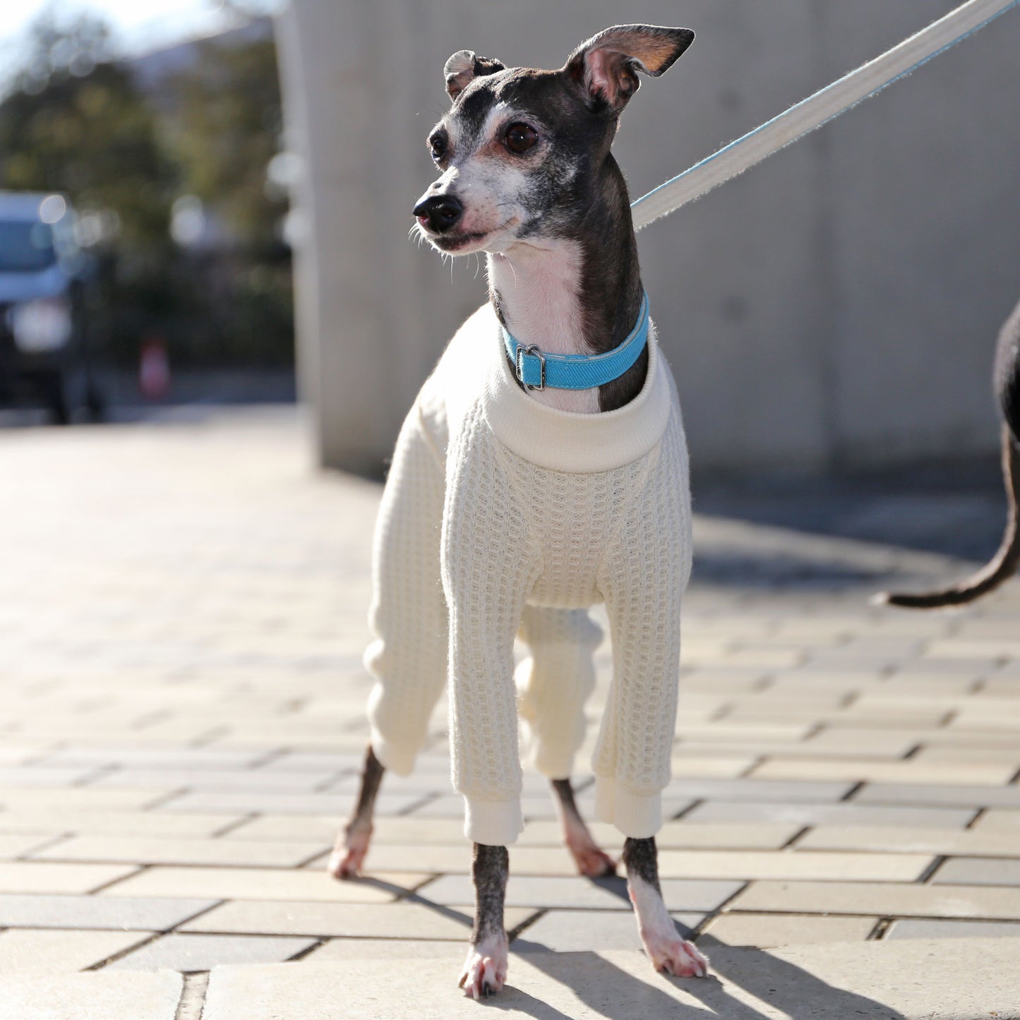 waffle knitwear