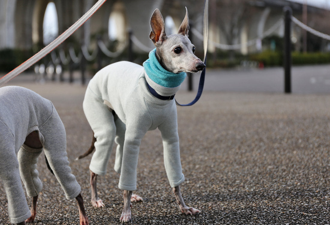 Fluffy soft brushed knit (aqua) - Italian Greyhound Clothes