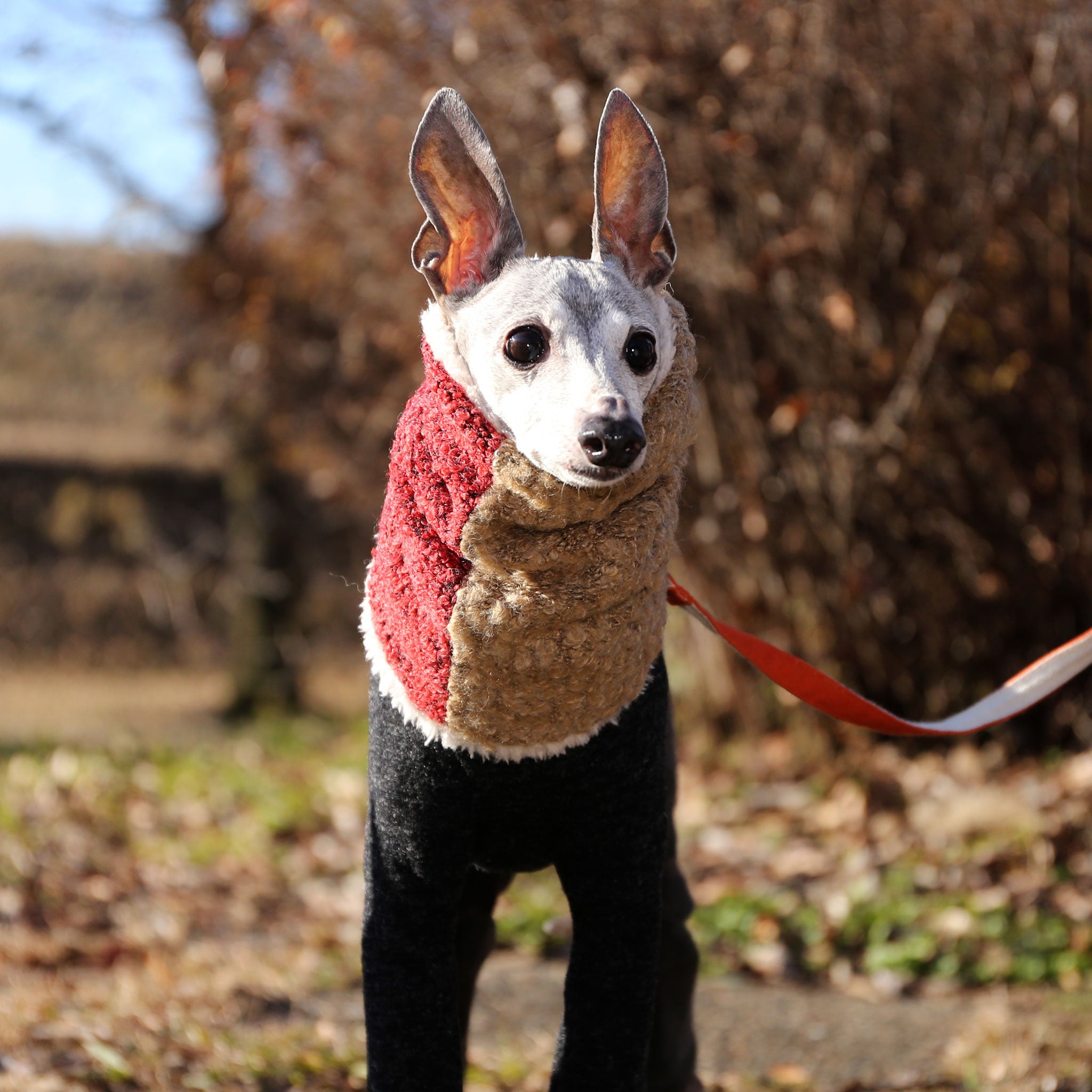 Dog hotsell neck warmers