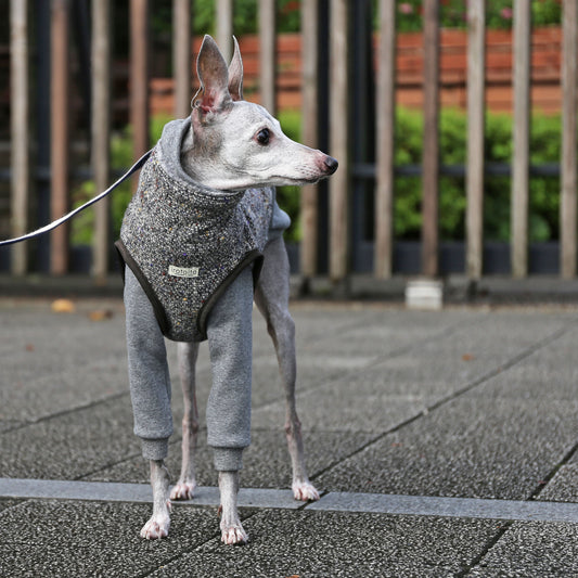 BISHU 1 (Black) - Italian Greyhound Clothes